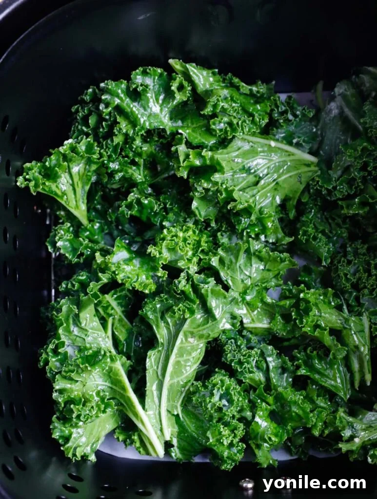 Golden Air Fryer Kale Crisps 7 A close-up view inside an air fryer basket, showing a single layer of perfectly seasoned kale leaves crisping up to golden perfection.