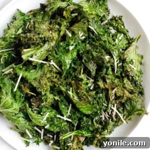 Golden Air Fryer Kale Crisps 9 Crispy kale chips in a plate.