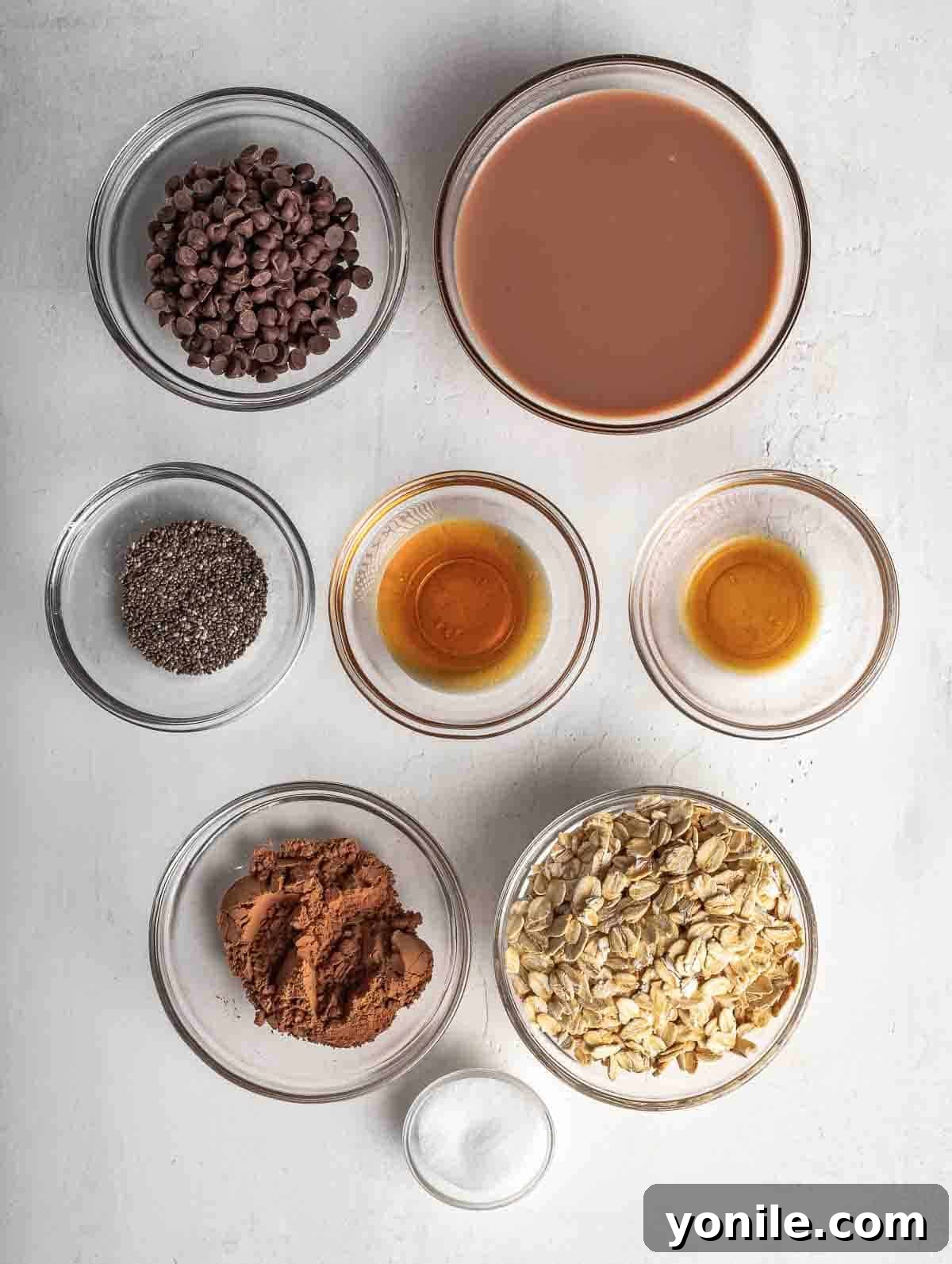 ingredients of chocolate overnight oats