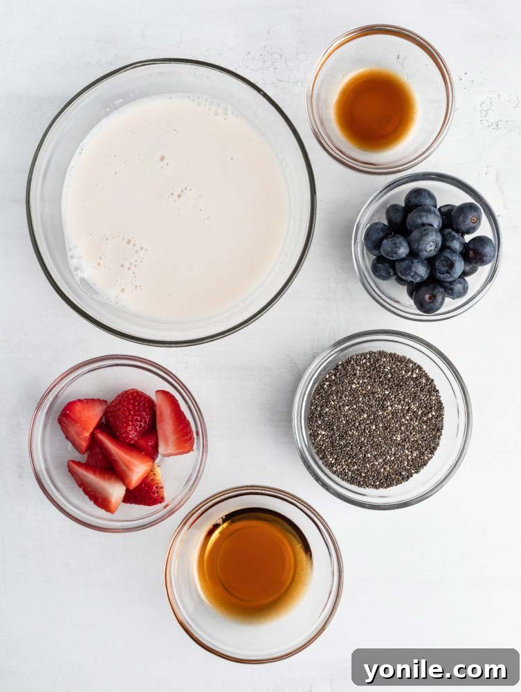 top down shot of the chia seed pudding ingredients