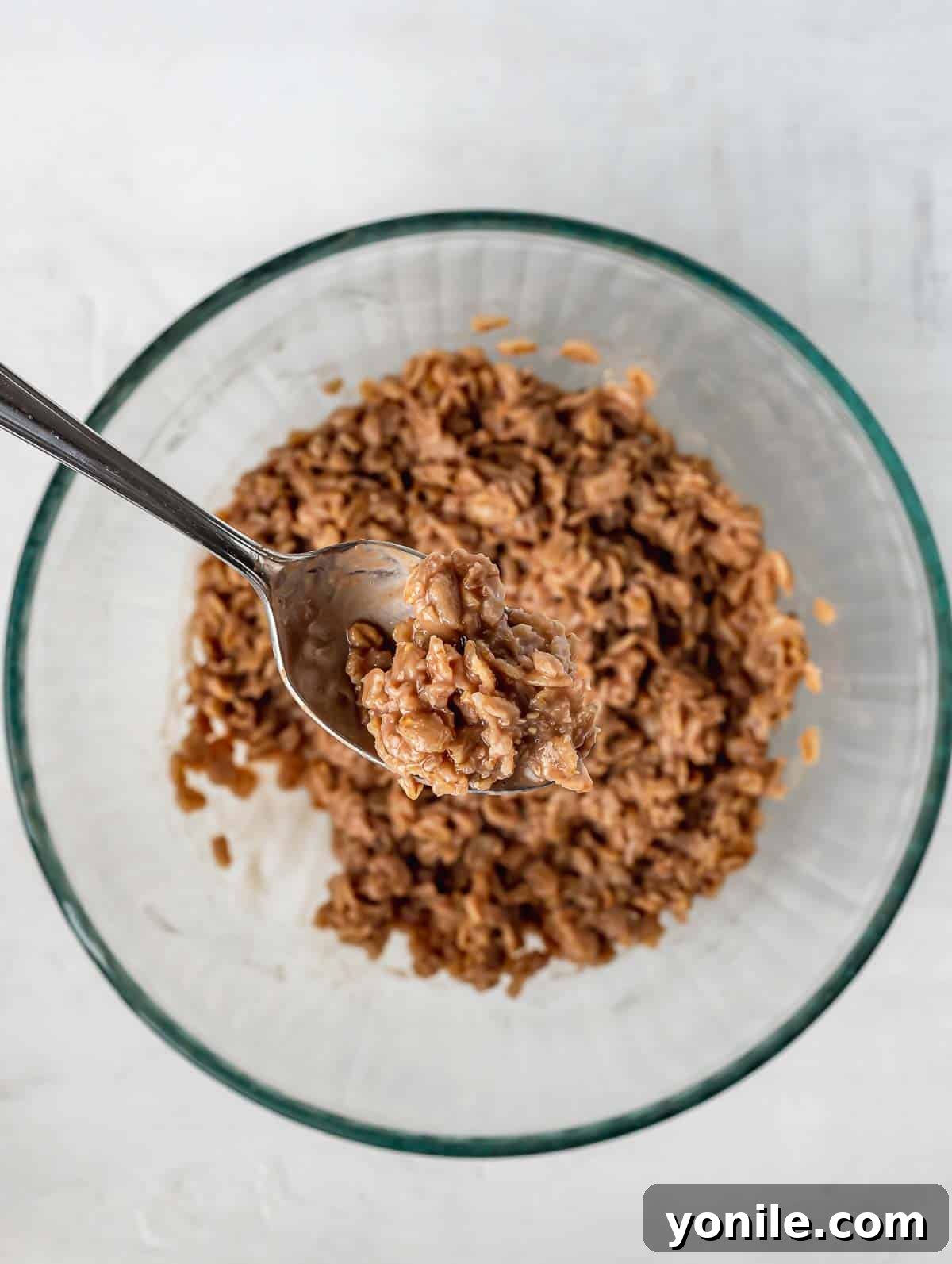 Cocoa Peanut Butter Bliss Bowl 4 chocolate oats after soaking overnight
