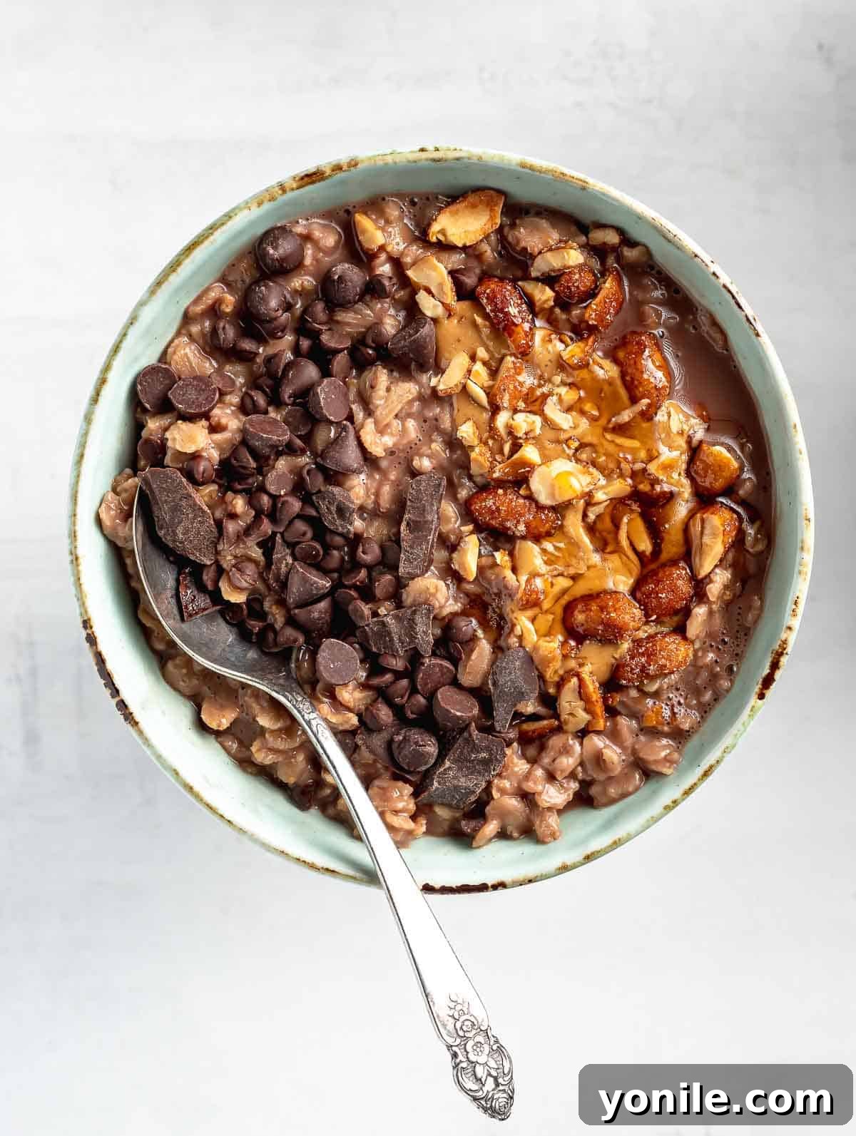 Cocoa Peanut Butter Bliss Bowl 5 chocolate oatmeal in a bowl with toppings