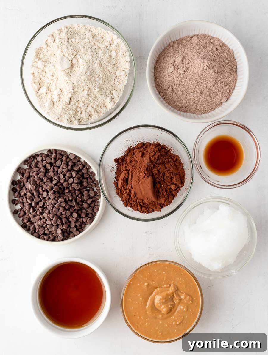 Ingredient shot of all components required to make the healthy brownie energy bites.