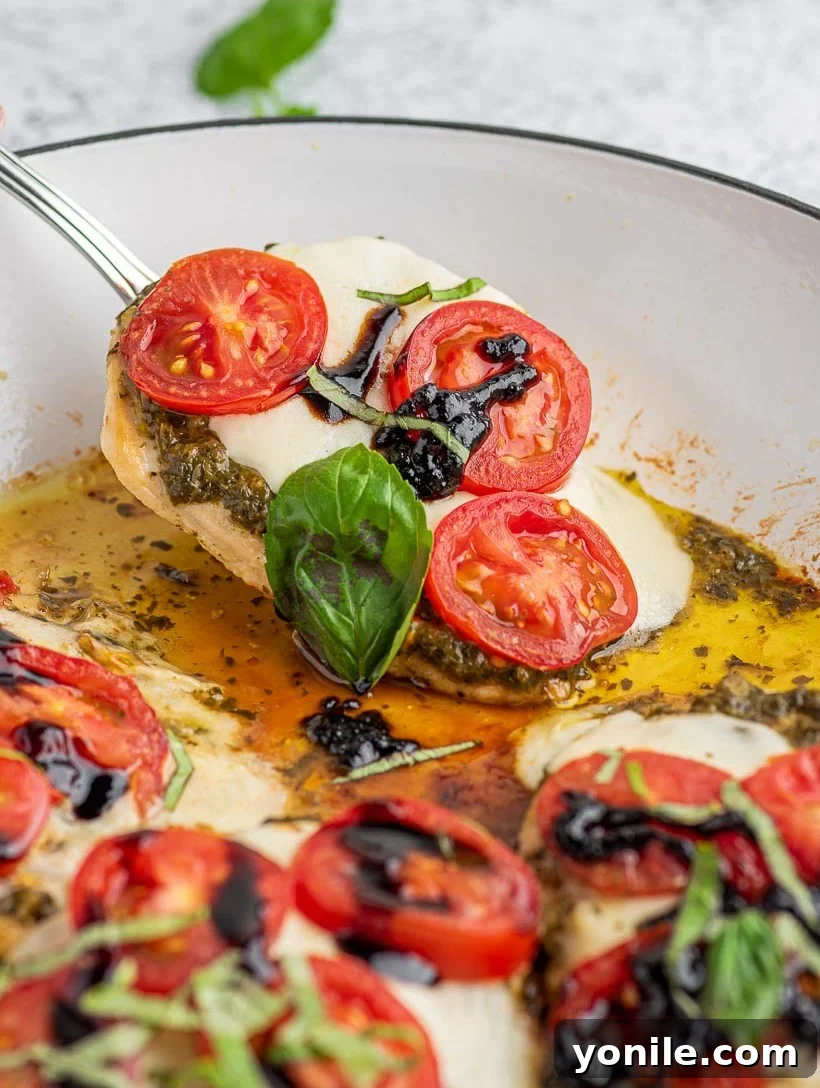close up shot of chicken caprese