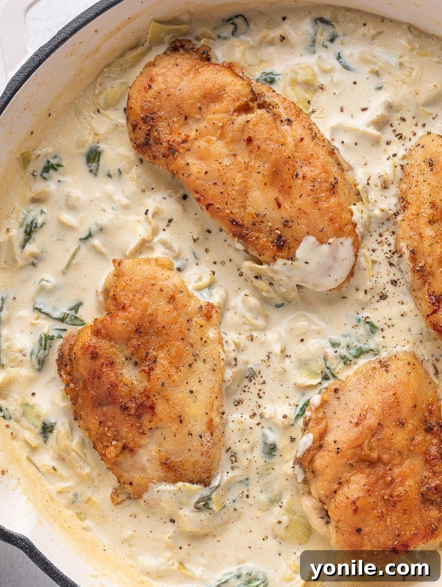 top show shot of the creamy spinach artichoke chicken