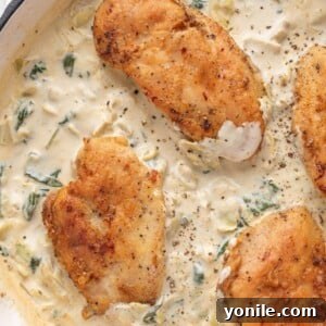 top show shot of the creamy spinach artichoke chickenc
