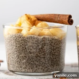 Overnight Chia Pudding topped with apples and a cinnamon stick.