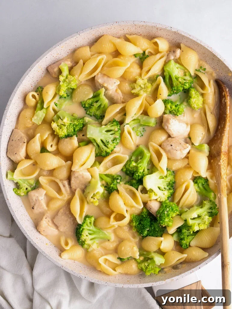 Top down shot of the creamy chicken broccoli pasta in a skillet, ready to serve.