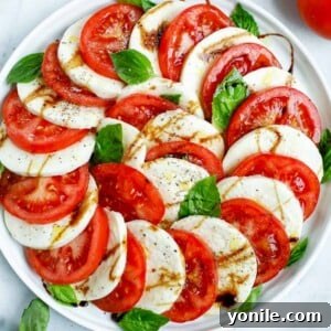 top down final shot of the caprese salad dish