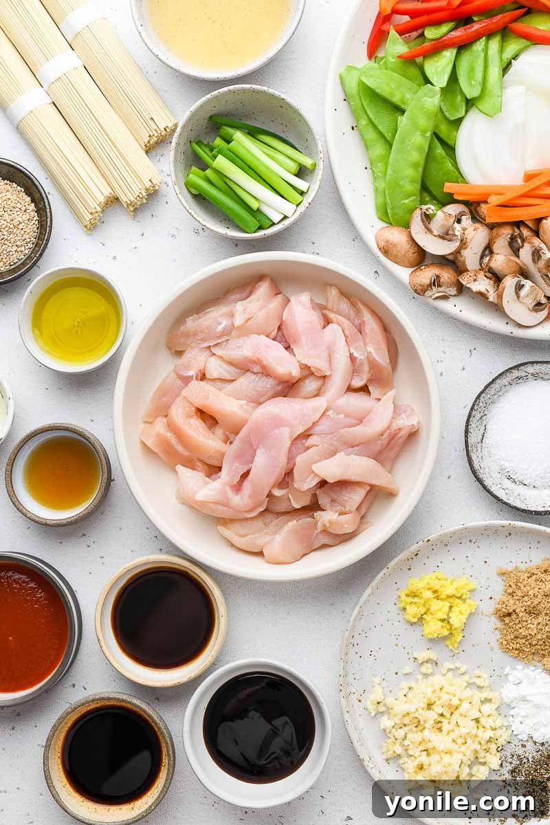 Speedy Weeknight Chicken Lo Mein 3 top down shot of the chicken lo mein ingredients