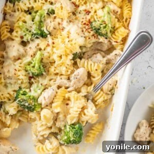 A golden-brown baked chicken and broccoli pasta casserole in a white baking dish, fresh from the oven, with a serving spoon resting inside.