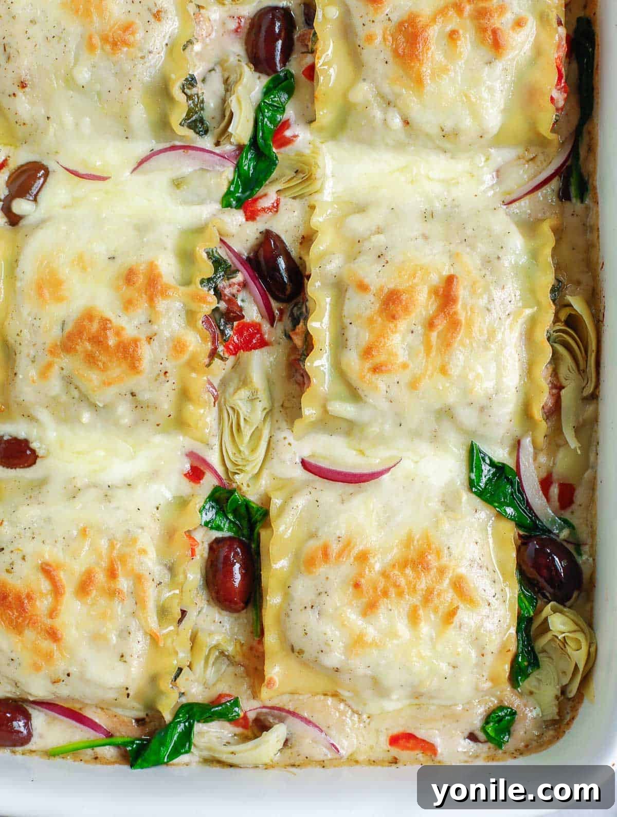 final result of Greek White Alfredo Lasagna Recipe