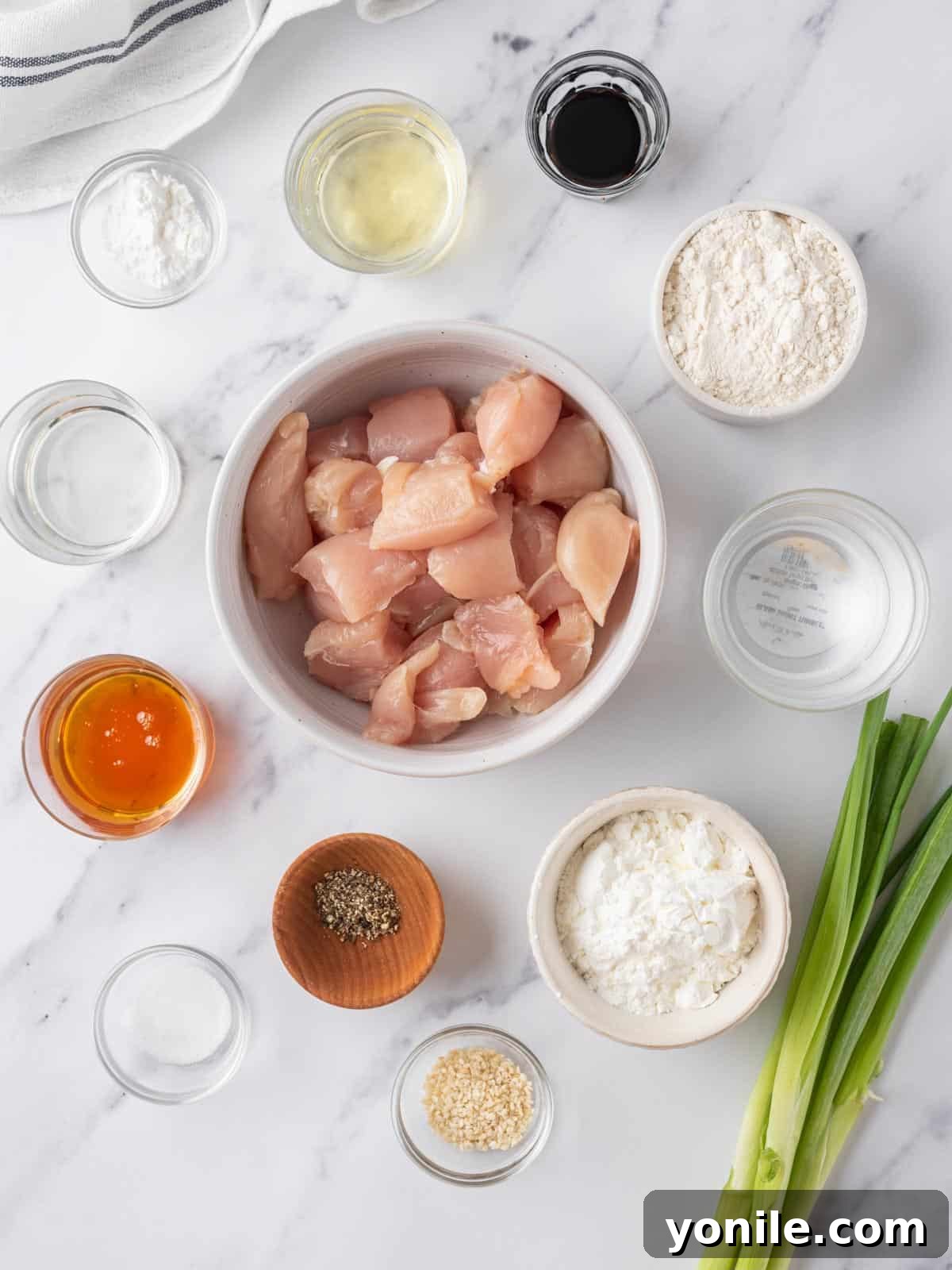 A flat lay photograph showing all the ingredients neatly arranged to make Crispy Honey Chicken, including chicken, honey, soy sauce, and batter components.