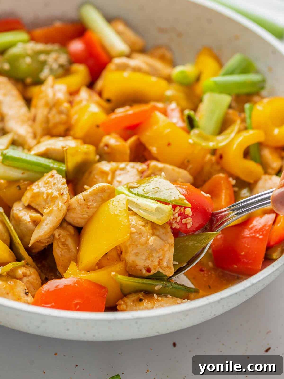 A beautifully presented plate of Szechuan chicken stir-fry.