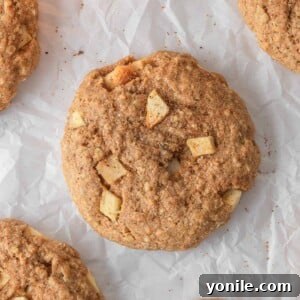 Overhead view of healthy apple pie oatmeal cookies.