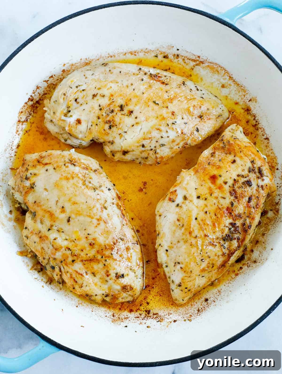 Seared chicken breasts inside a Dutch oven skillet, before adding other ingredients.