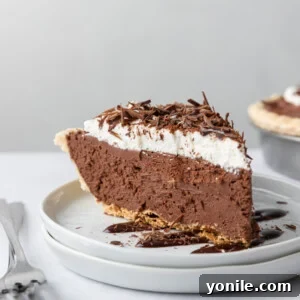 close up shot of french silk pie