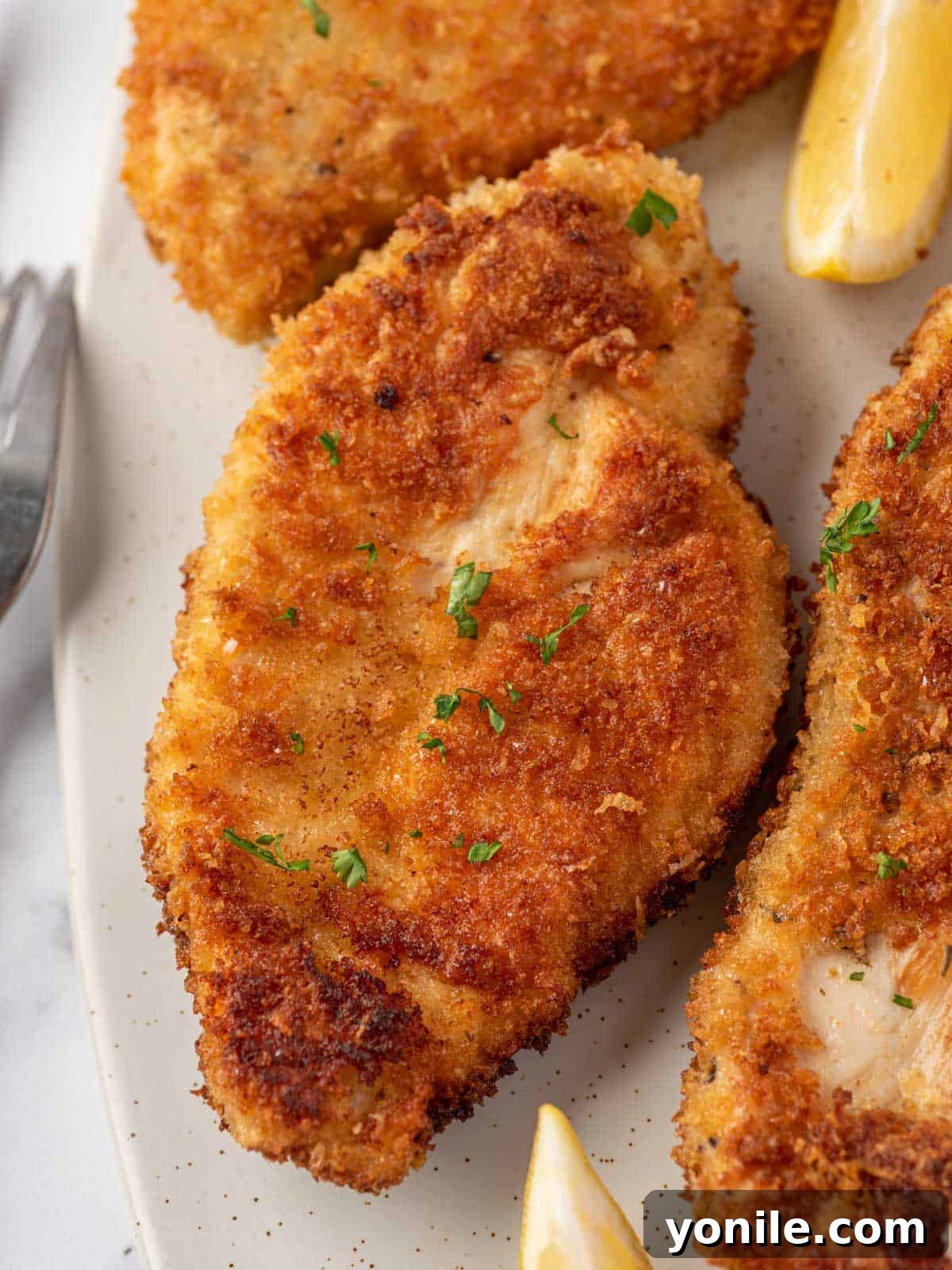 Close up of a crispy parmesan crusted chicken breast, showing the golden crunchy coating.