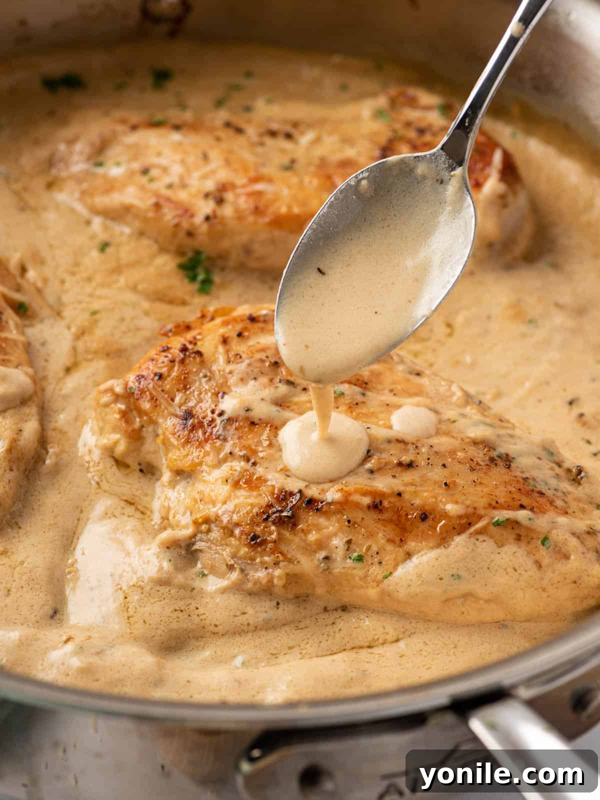 A perfectly cooked piece of creamy garlic parmesan chicken drizzled with luscious sauce, ready to be served for a comforting dinner.
