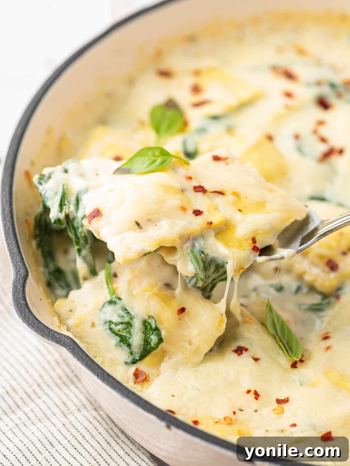 Luscious Spinach and Cheese Ravioli 2 Creamy Cheese and Spinach Ravioli in a skillet, ready to serve.