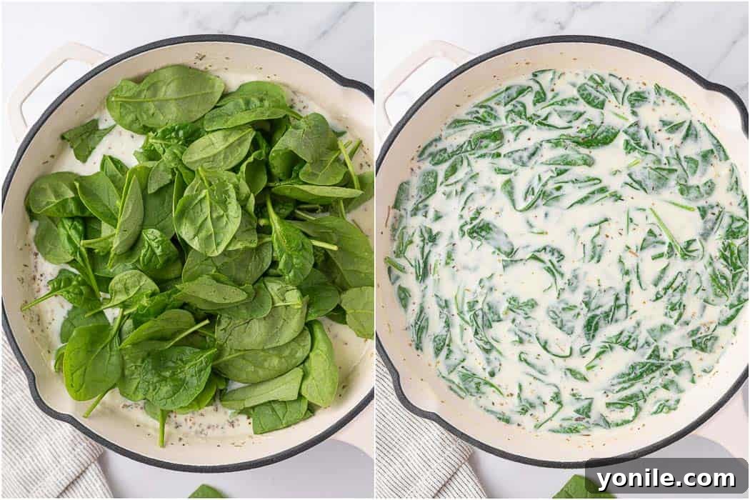 Luscious Spinach and Cheese Ravioli 5 Fresh baby spinach wilting into the creamy cheese sauce for ravioli.
