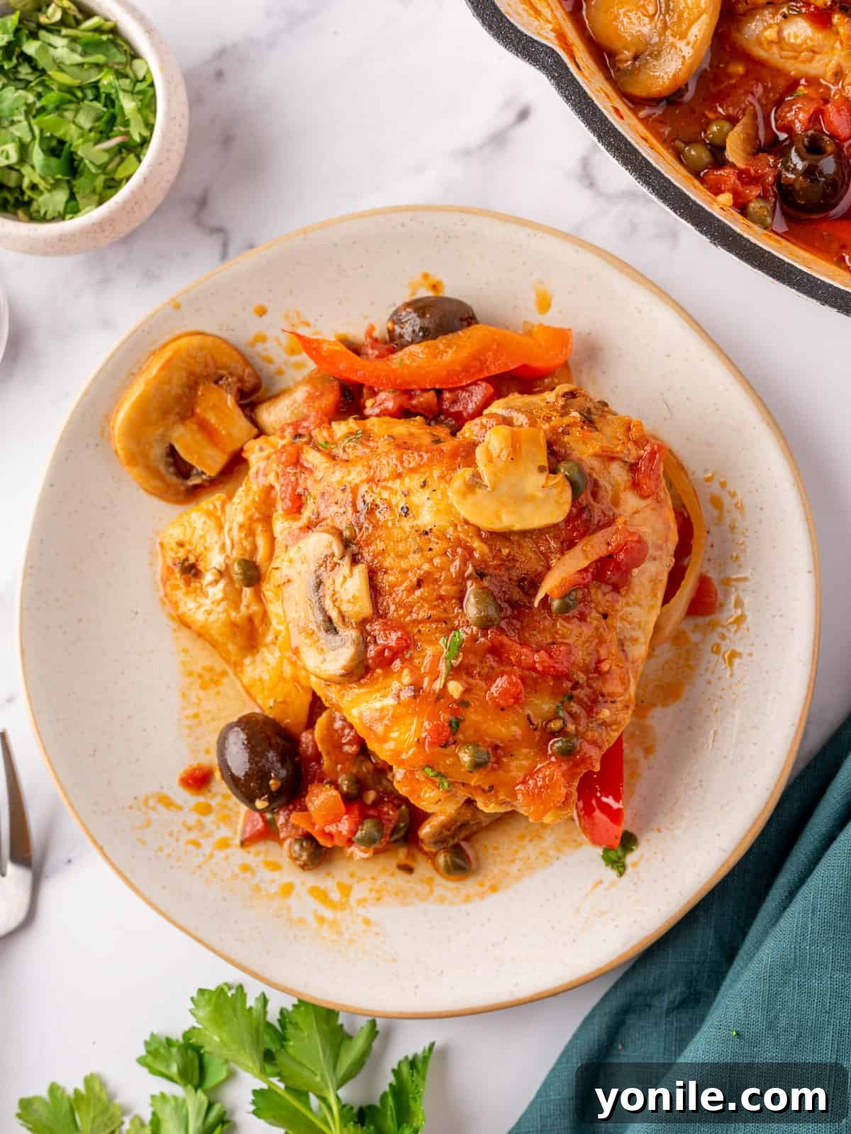 Classic Italian Hunter's Chicken 10 A perfectly portioned serving of chicken cacciatore on a pristine white plate, garnished with fresh herbs.