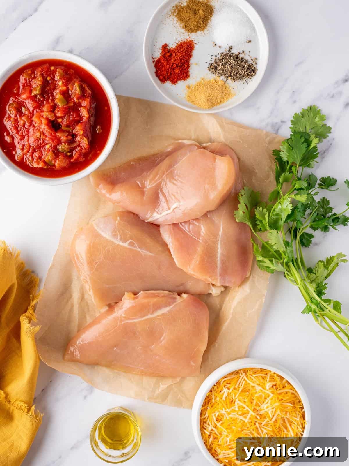 Ingredients needed for baked salsa chicken.