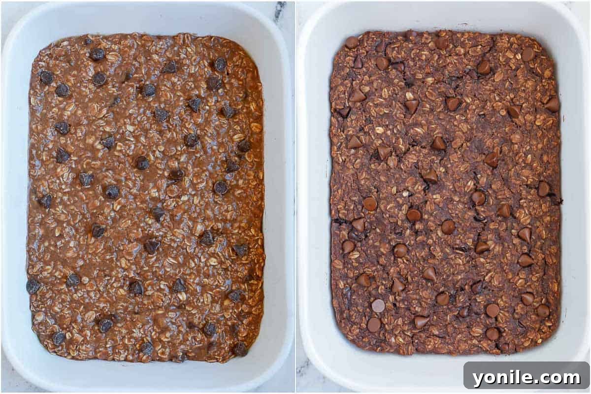 Freshly baked chocolate oats in a white baking dish, showing a perfectly golden and set top, ready for cooling.