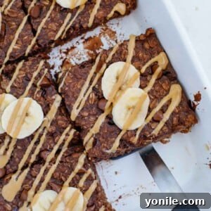 A perfectly baked slice of chocolate oatmeal, ready to be enjoyed.