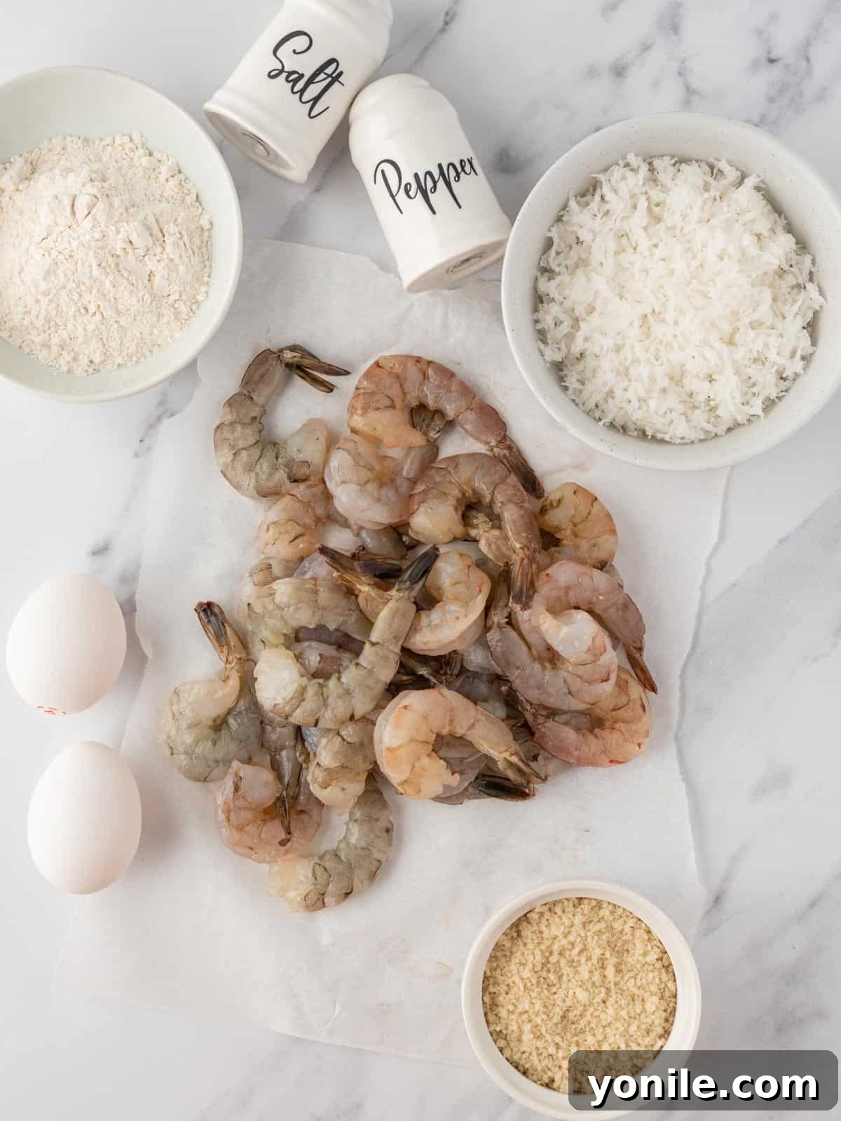 A flat lay photograph displaying all the fresh ingredients needed to prepare crispy air fryer shrimp, including jumbo shrimp, coconut flakes, panko breadcrumbs, flour, eggs, salt, pepper, fresh parsley, and lemon slices.