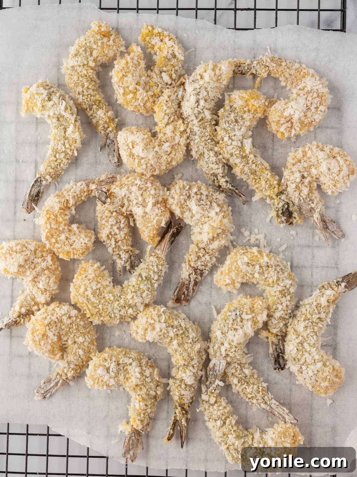 Coated jumbo shrimp are arranged neatly on parchment paper, awaiting their turn in the air fryer to become crispy.