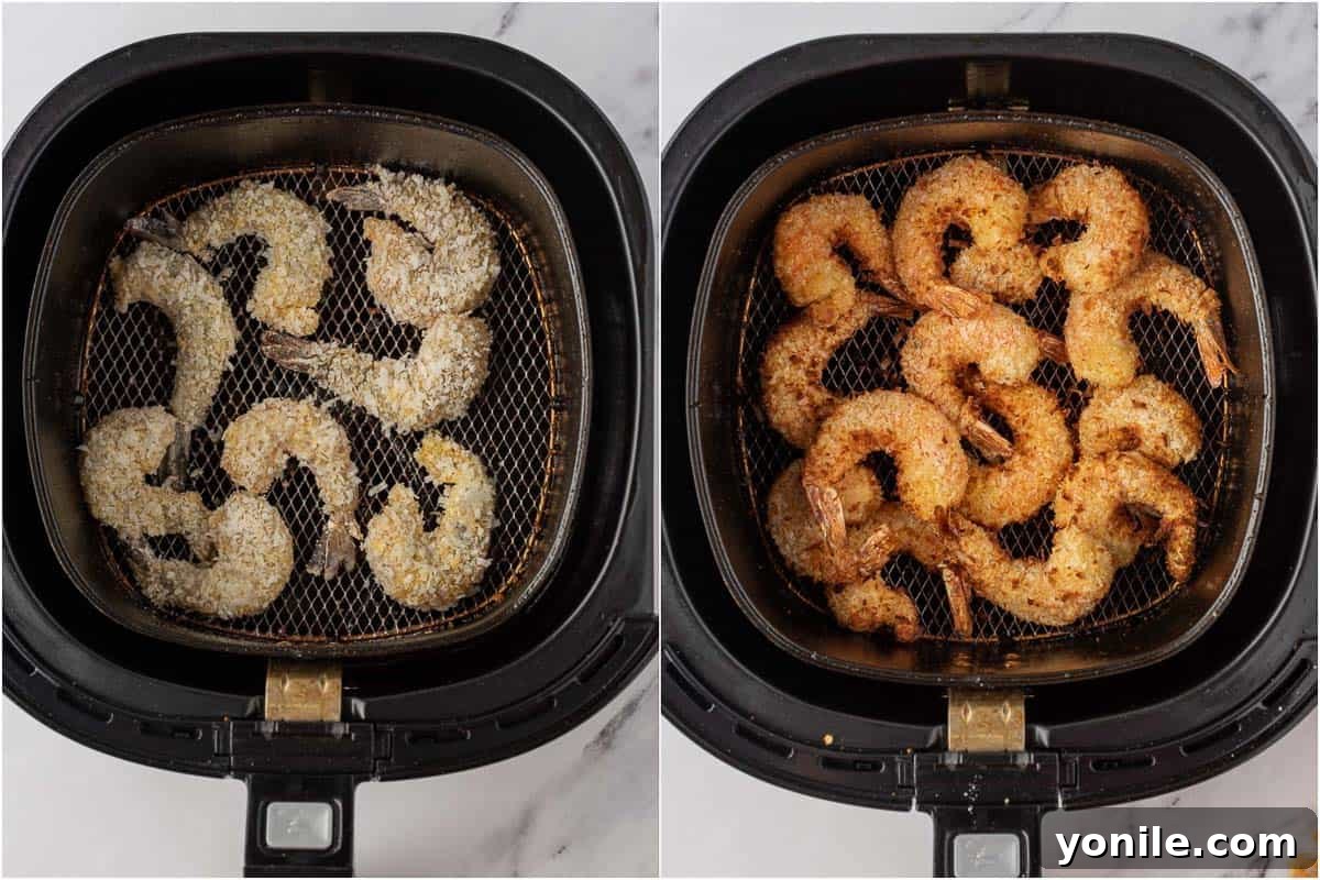 Several perfectly coated coconut panko shrimp are neatly arranged in the basket of an air fryer, ready for cooking to crispy perfection.