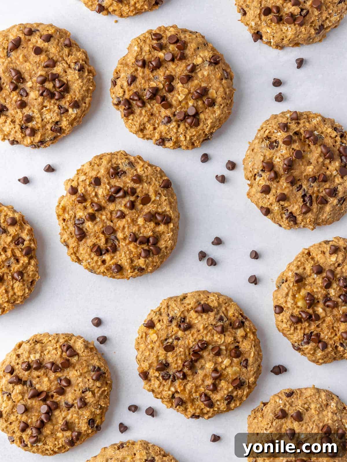 Multiple healthy chocolate chip oatmeal cookies in a single layer with mini chocolate chips on top.