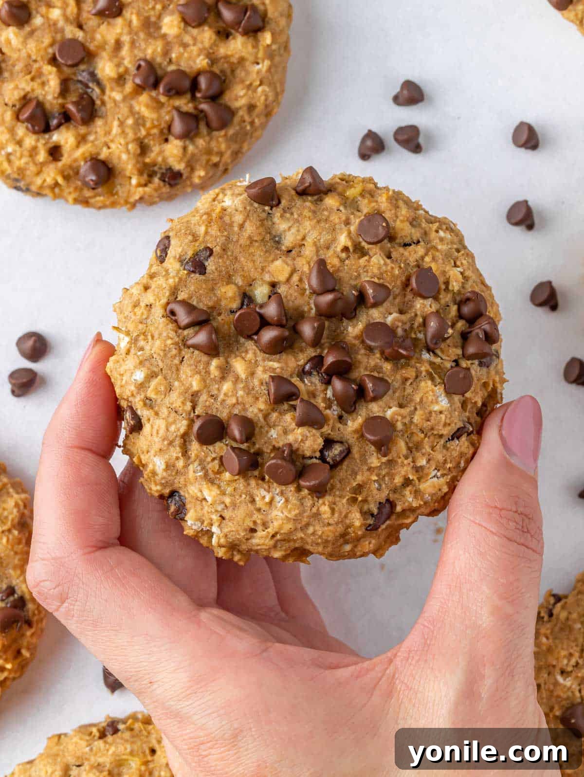 Hand holding one healthy chocolate chip oatmeal cookie.