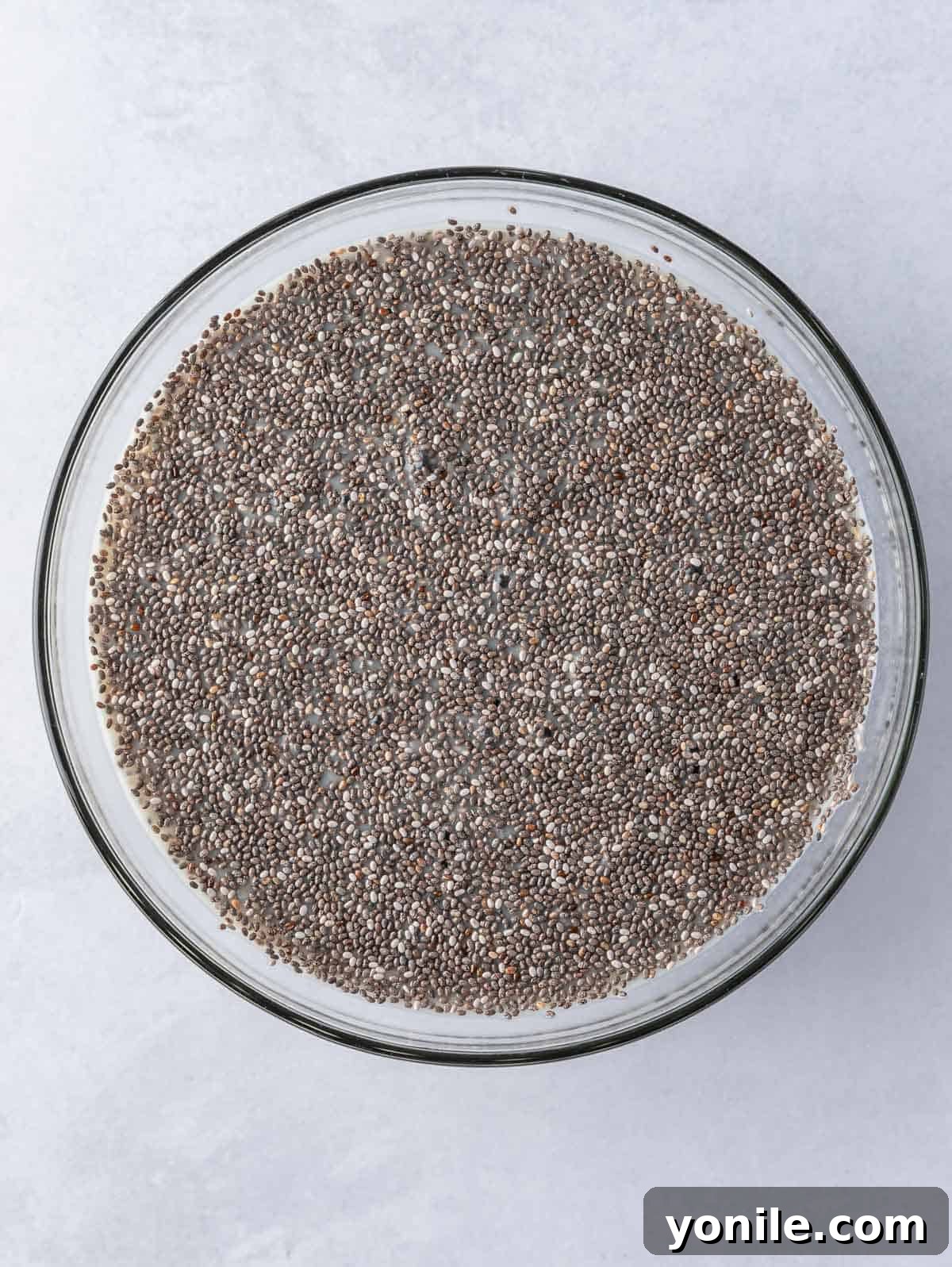 chia pudding in a bowl.