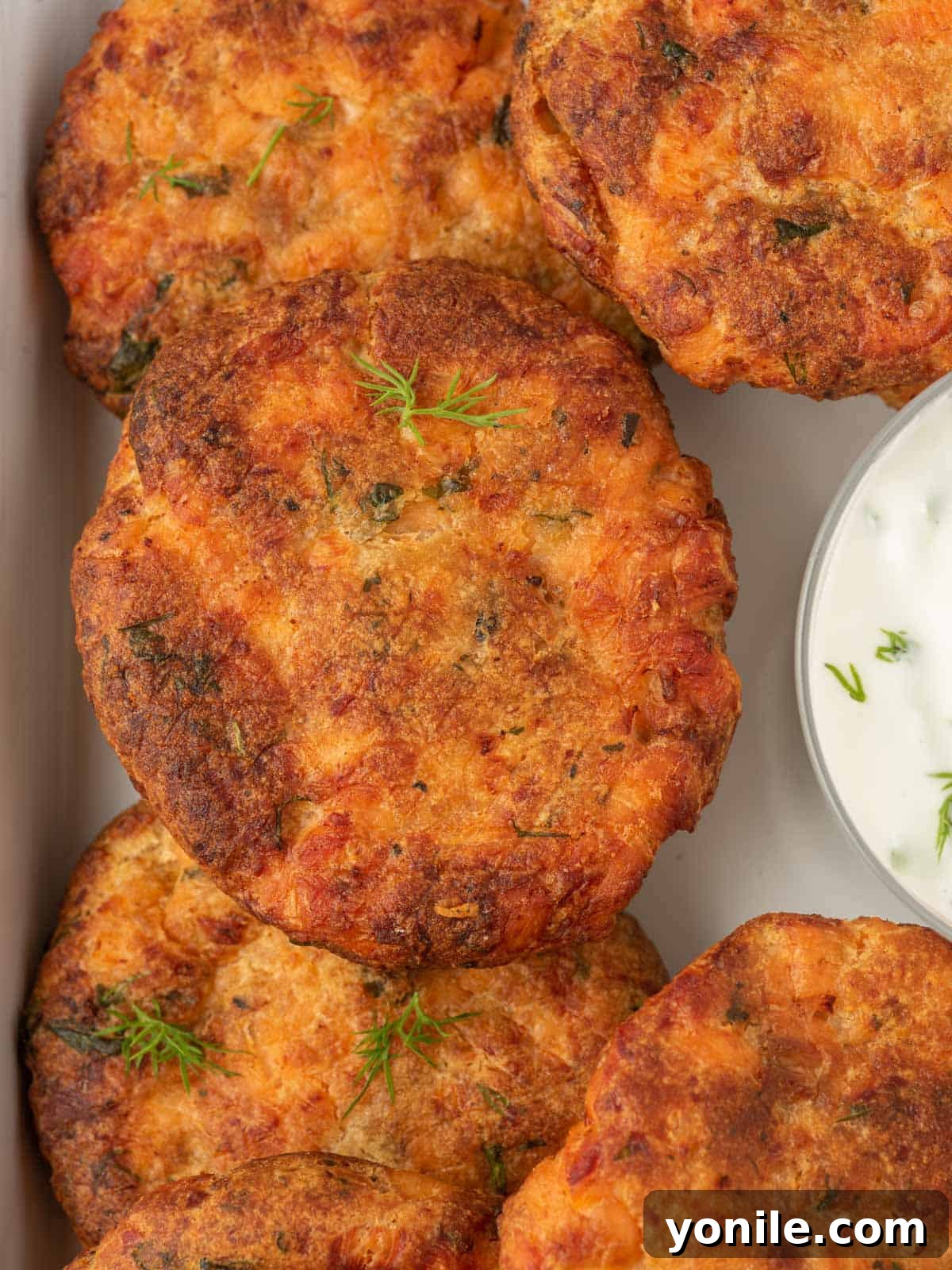 A close-up view of air fryer salmon patties with bread crumbs, showing their crispy texture and golden-brown finish.