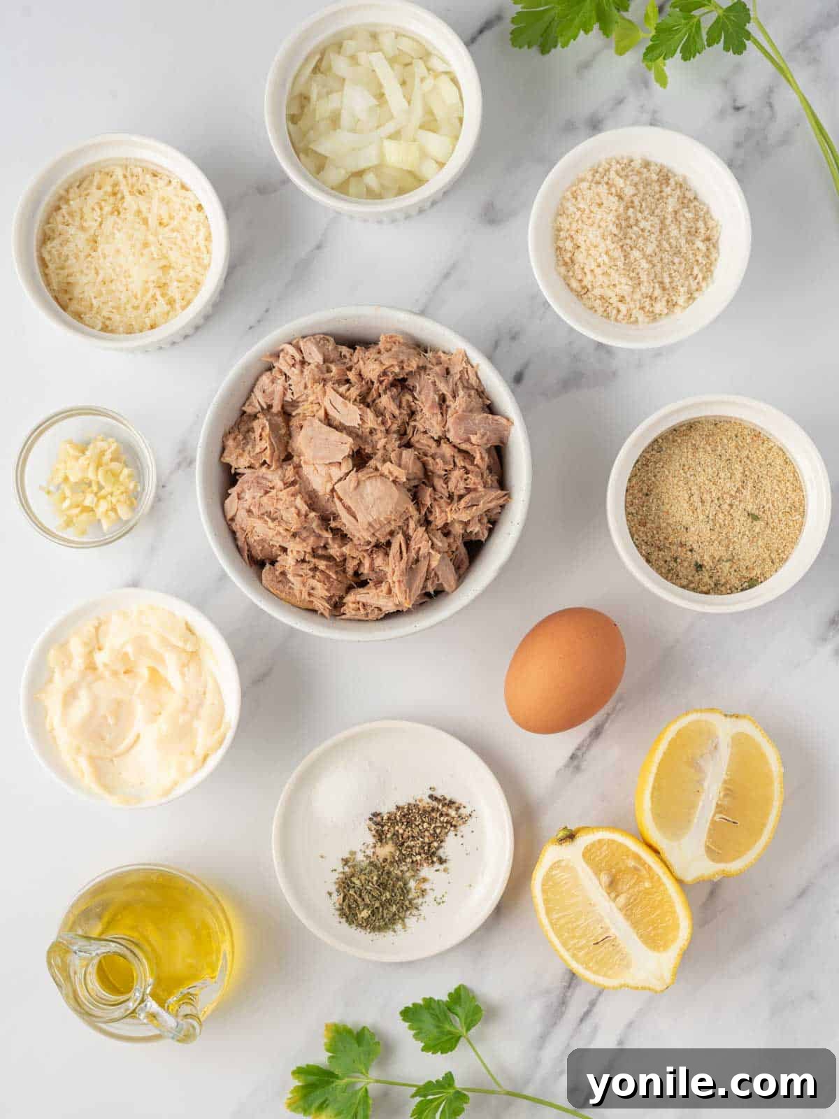 Ingredients needed for parmesan crusted tuna patties.