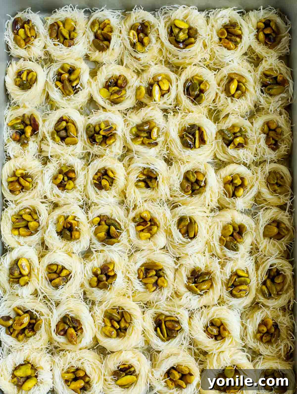 A baking pan filled with unbaked baklava nests, perfectly arranged and ready for the oven.