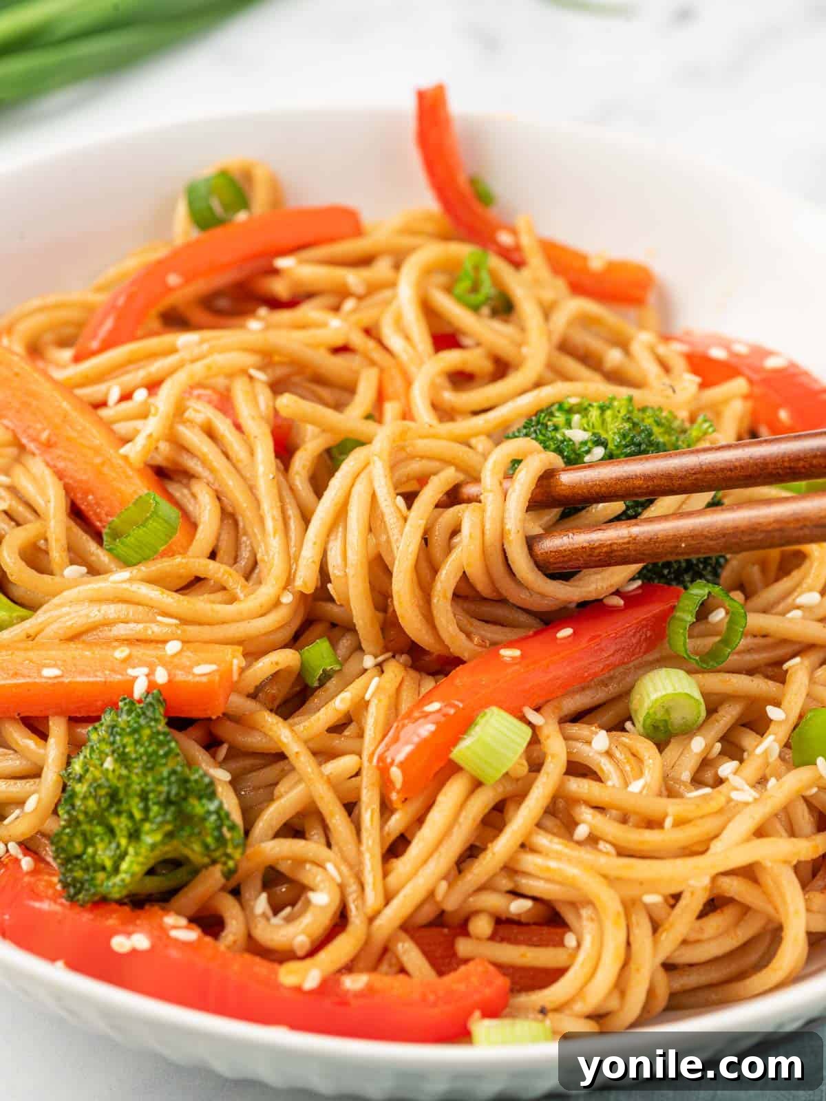 Vegetarian lo mein noodles in a bowl with chopsticks.