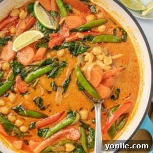 Serving red curry with vegetables from a pot.