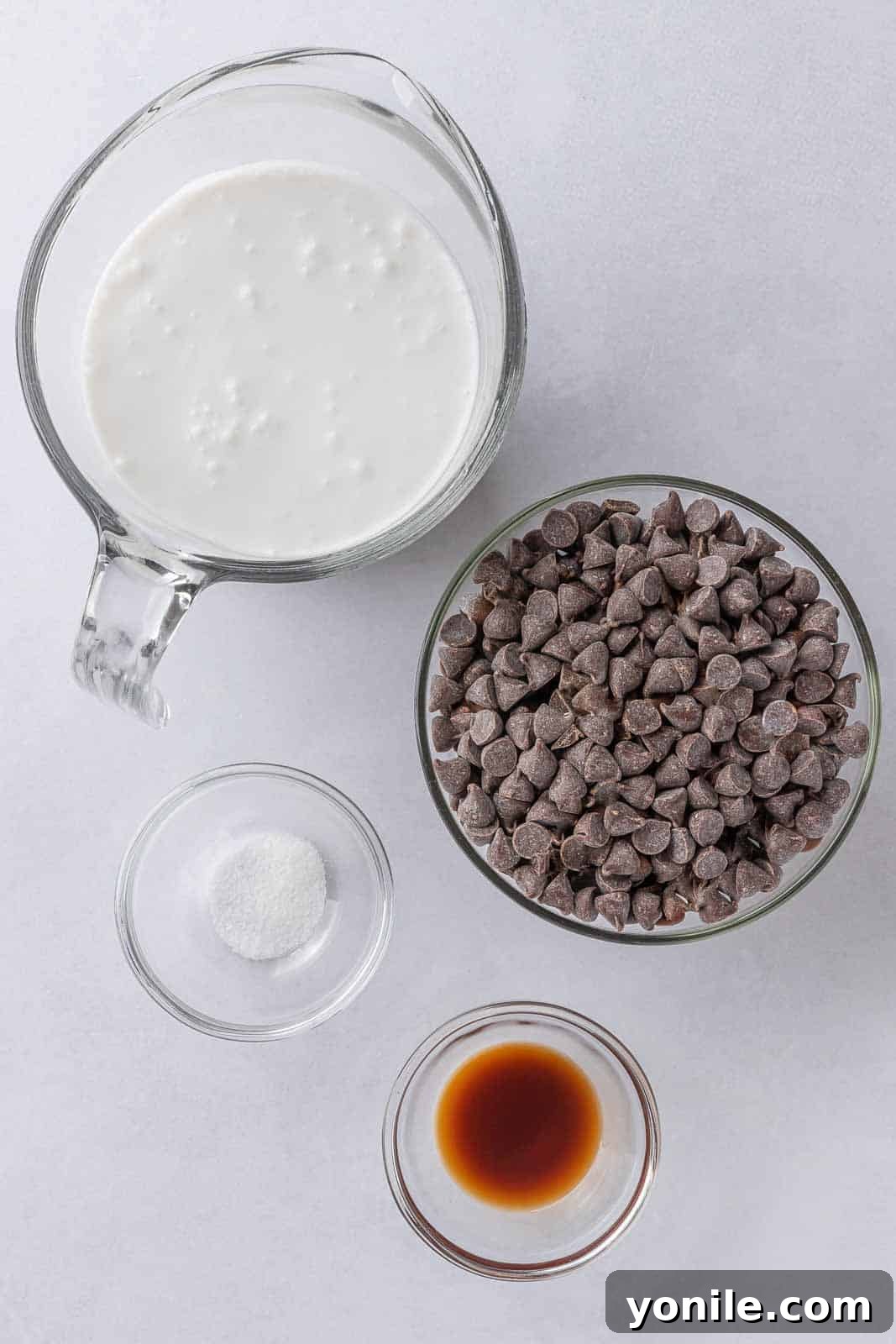 An array of ingredients for the dairy-free chocolate pie filling, including vegan chocolate chips, a can of full-fat coconut milk, pure vanilla extract, and a pinch of salt.