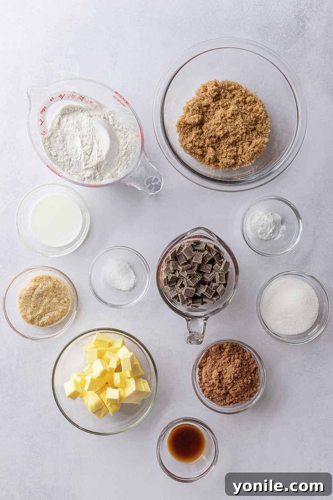 A visual display of all the simple, wholesome ingredients required to bake delicious vegan double chocolate cookies.