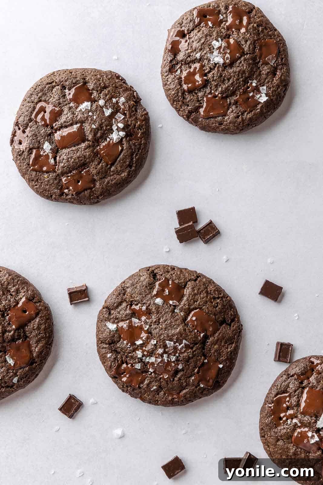 Seven beautifully arranged chocolate vegan cookies on a pristine white surface, highlighting their rich color and texture.