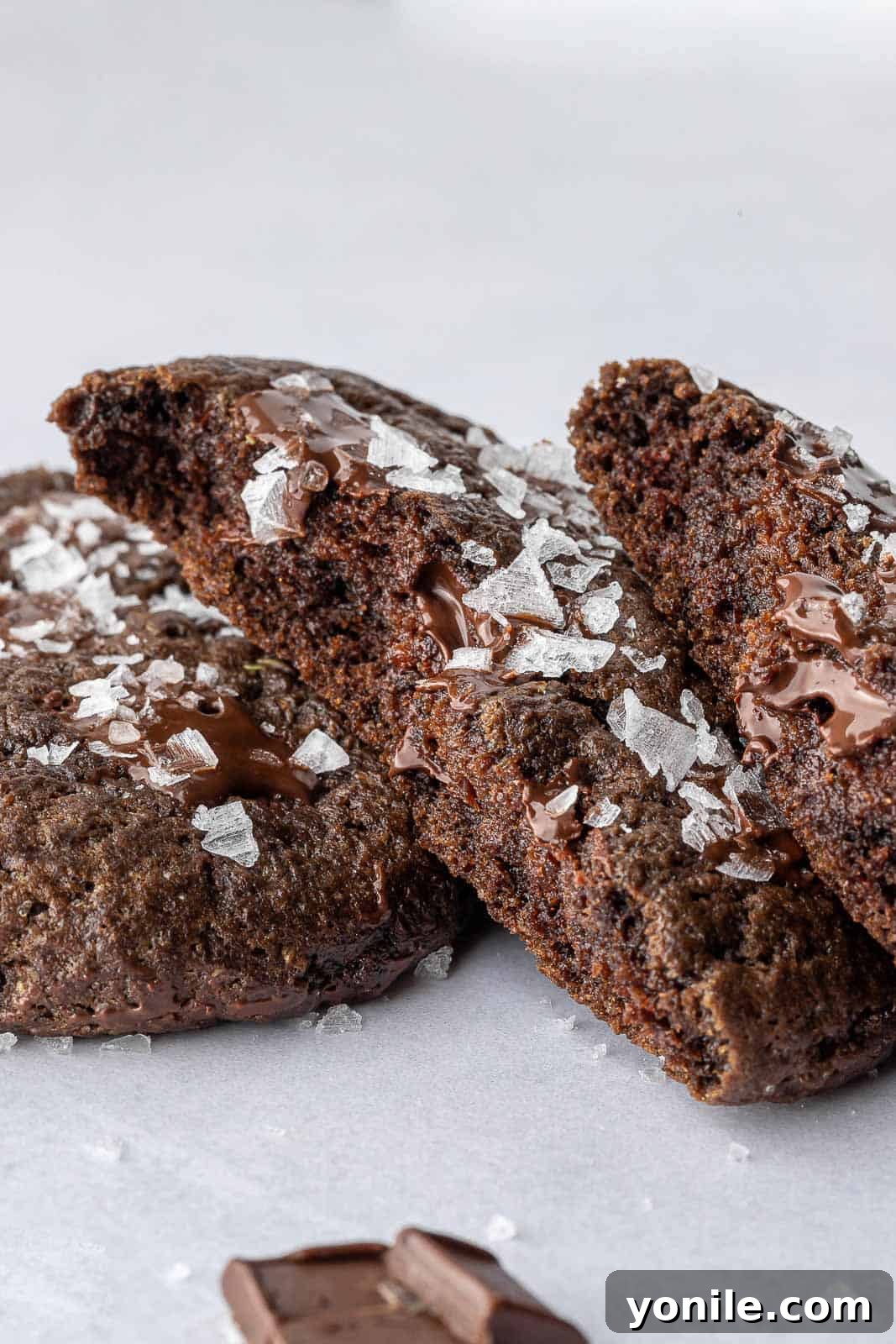 A delicious vegan double chocolate cookie cut in half, revealing its gooey chocolate interior and perfect texture.