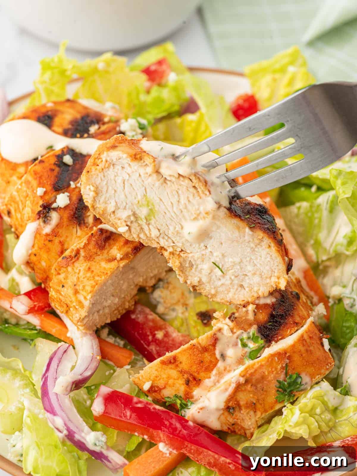 A close-up shot of grilled chicken salad with spicy buffalo dressing, ready to be enjoyed.