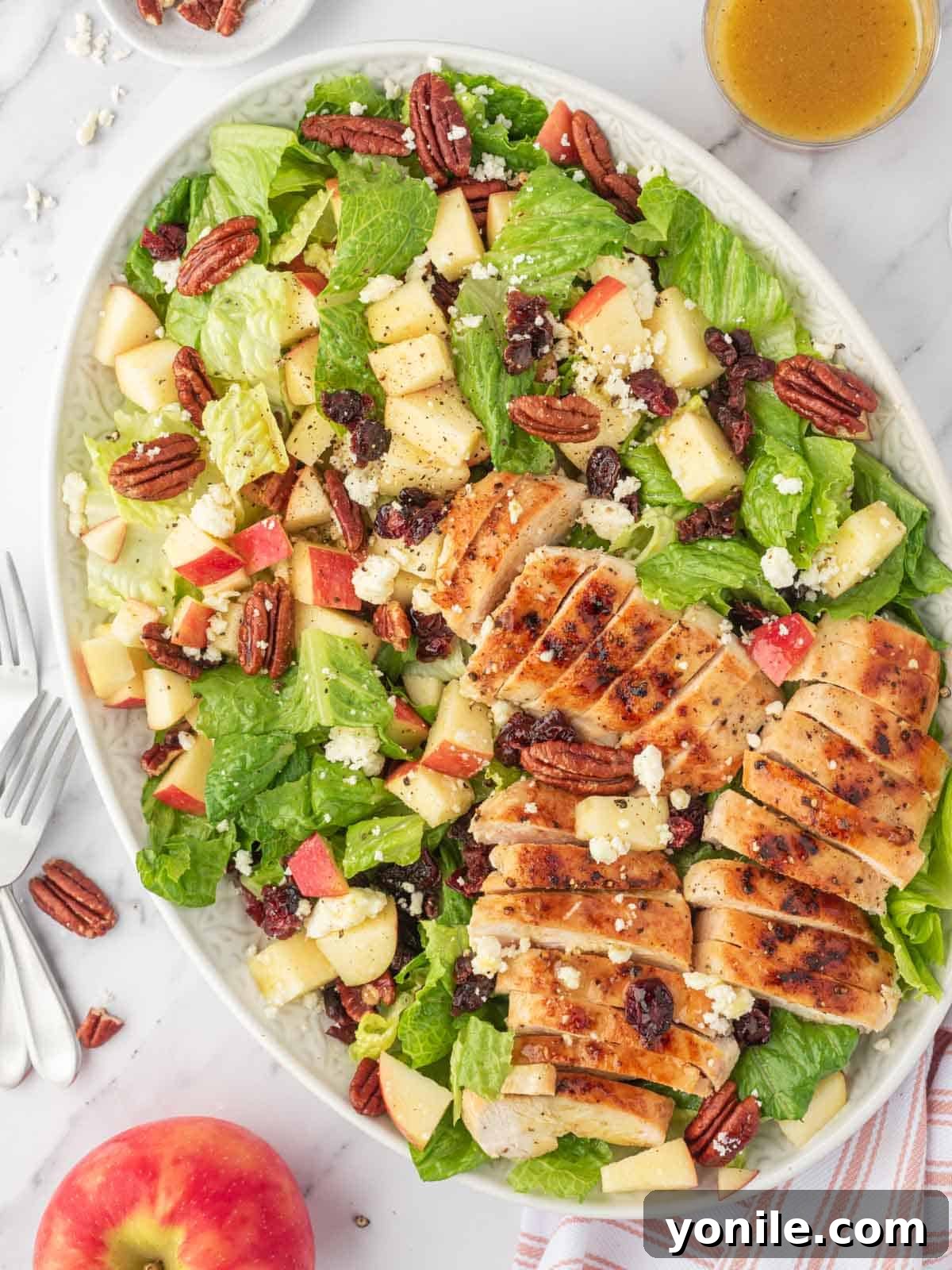 Autumn Harvest Chopped Chicken Salad 7 A platter of healthy autumn chicken salad with apples and cranberries, ready to be served.