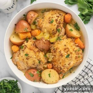 A bowl of honey dijon chicken thighs.