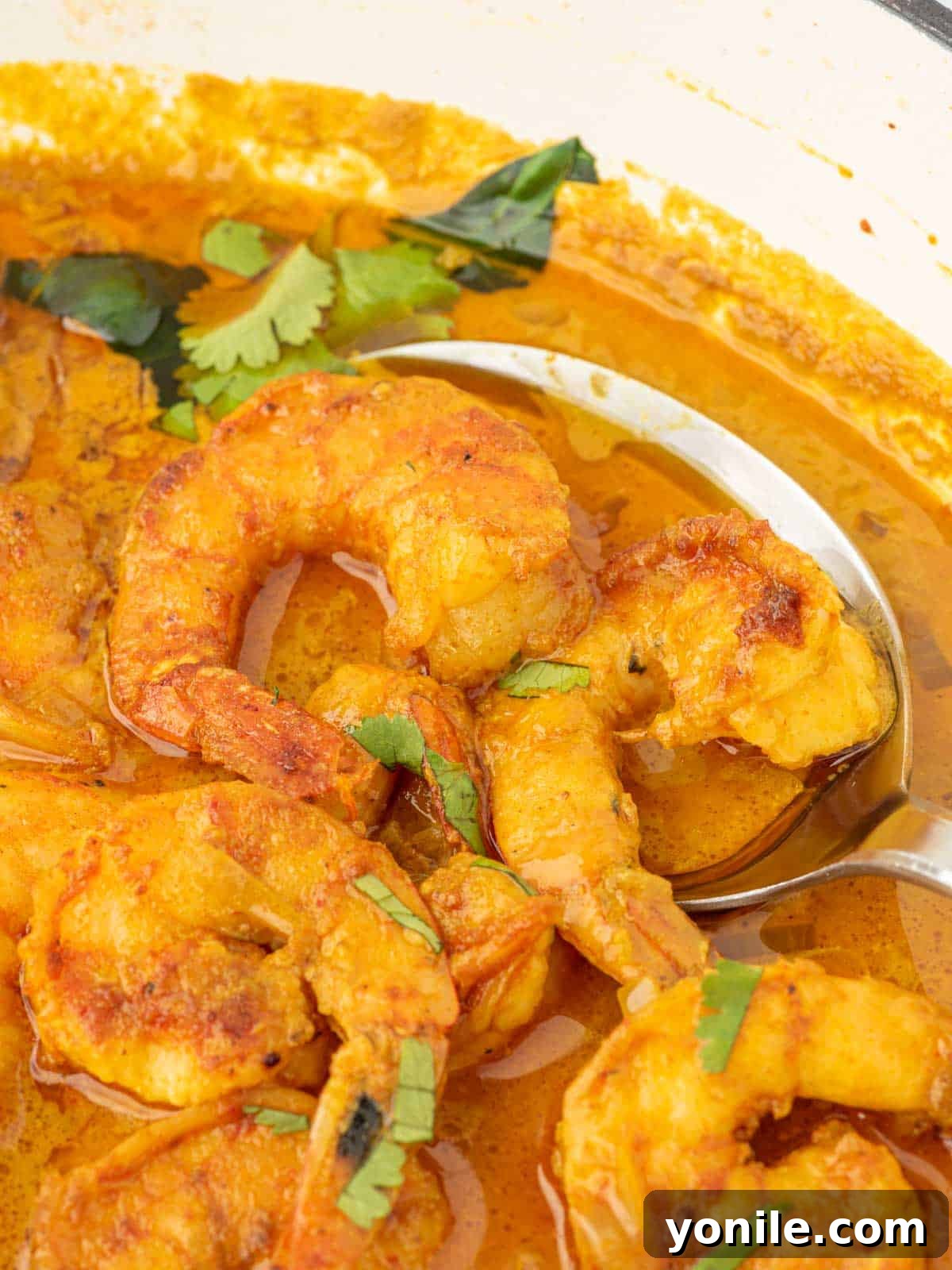 Vibrant Thai Coconut Shrimp Curry 7 A spoon lifts two perfectly cooked pieces of shrimp from a vibrant red Thai coconut shrimp curry, highlighting the rich sauce and tender shrimp.