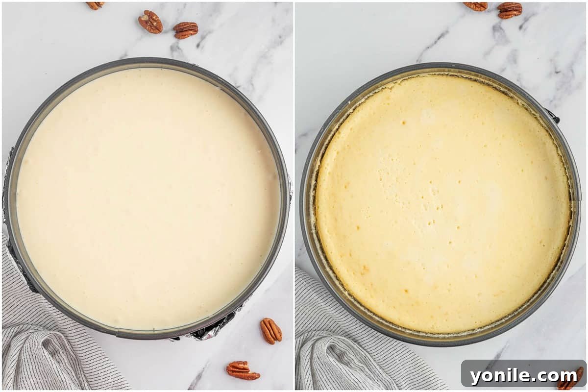 A cheesecake in a springform pan baking in the oven, illustrating the baking process.