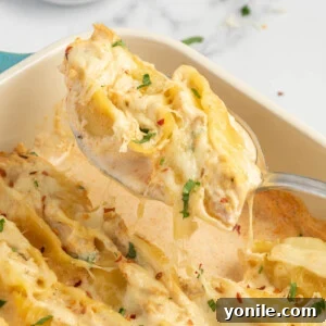 A spoonful of cajun alfredo pasta.